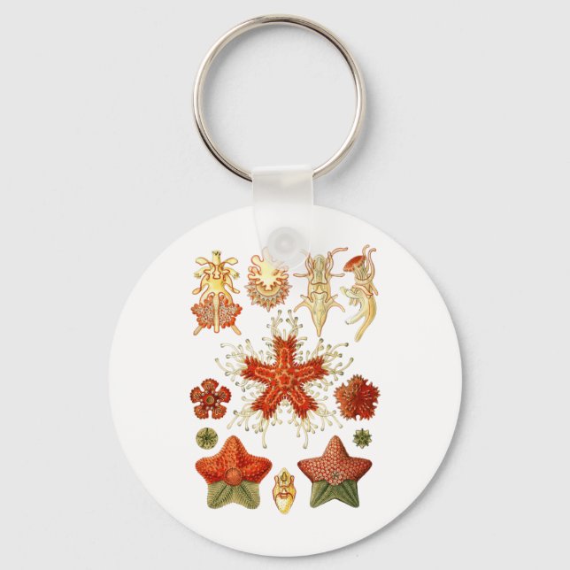 Starfish Key Ring (Front)