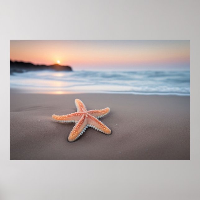 Starfish Lying on a Beach Poster (Front)