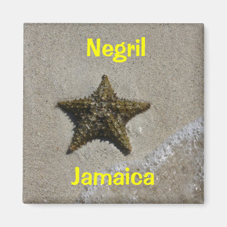 Starfish Magnet