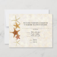 Starfish Nautilus Scallop Sea Shell Modern Pattern
