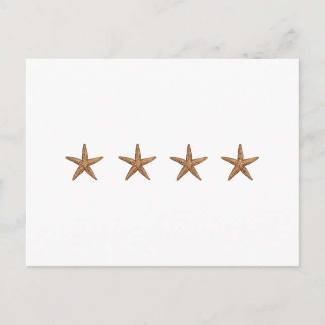 Starfish - Northern Sea Star Postcard (Front)
