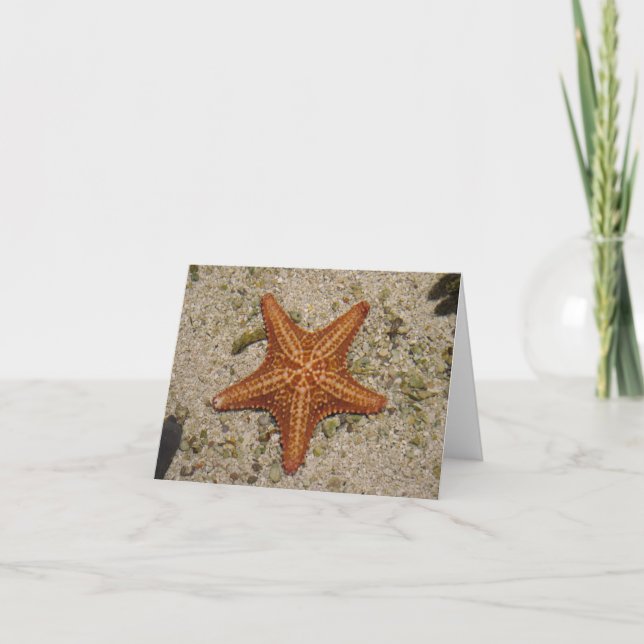 Starfish notecard (Front)