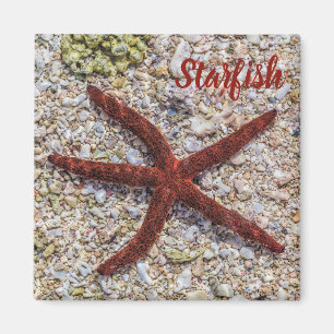 Starfish Ocean Vintage Beach Retro Souvenir Magnet