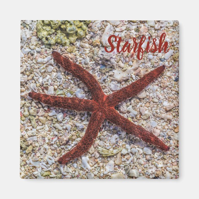 Starfish Ocean Vintage Beach Retro Souvenir Magnet (Front)