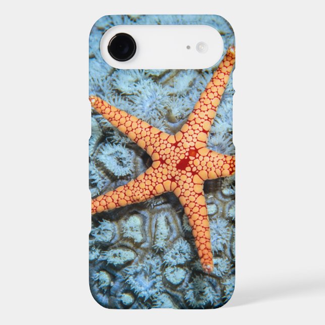 Starfish On A Coral With Polips Case-Mate iPhone Case (Back)