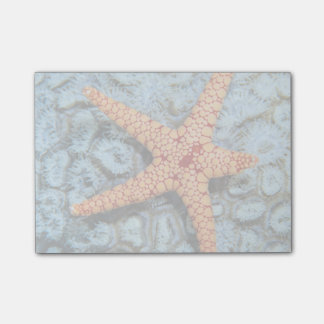 Starfish On A Coral With Polips Post-it Notes