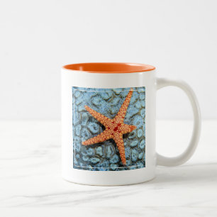 Starfish On A Coral With Polips Two-Tone Coffee Mug