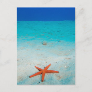 Starfish on a sand dune underwater postcard