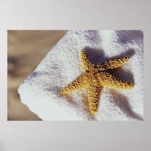Starfish On A Towel Poster