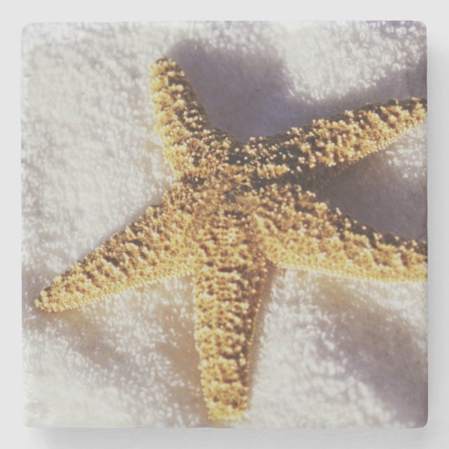 Starfish On A Towel Stone Coaster (Front)