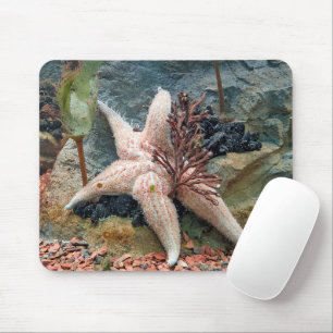 Starfish On Aquatic Plant Mouse Pad