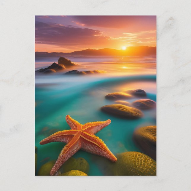 Starfish on beach at Dawn Postcard (Front)