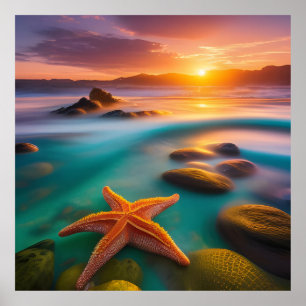 Starfish on beach at Dawn  Poster