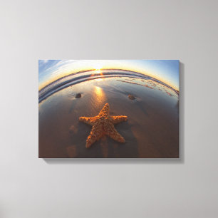 Starfish on Beach Canvas Print