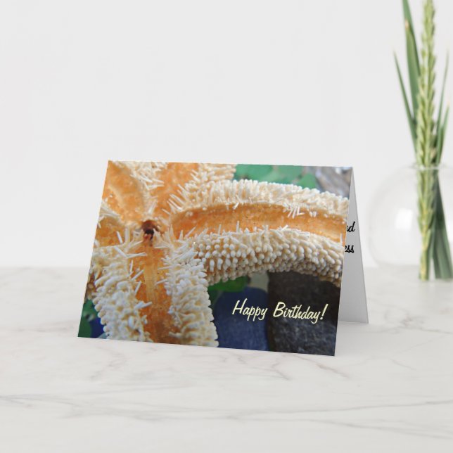 Starfish on Beach Glass Birthday Card (Front)
