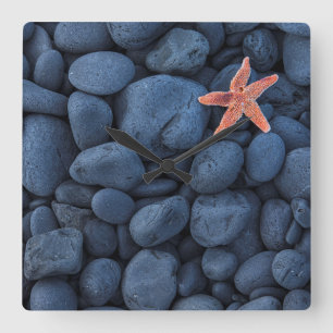 Starfish On Black Rocks Along The Coast Iceland Square Wall Clock