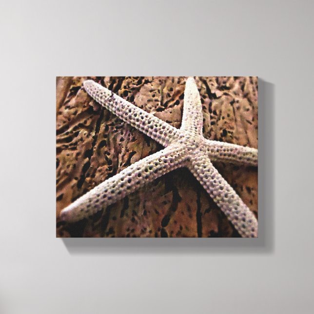 Starfish on Driftwood Canvas Print (Front)