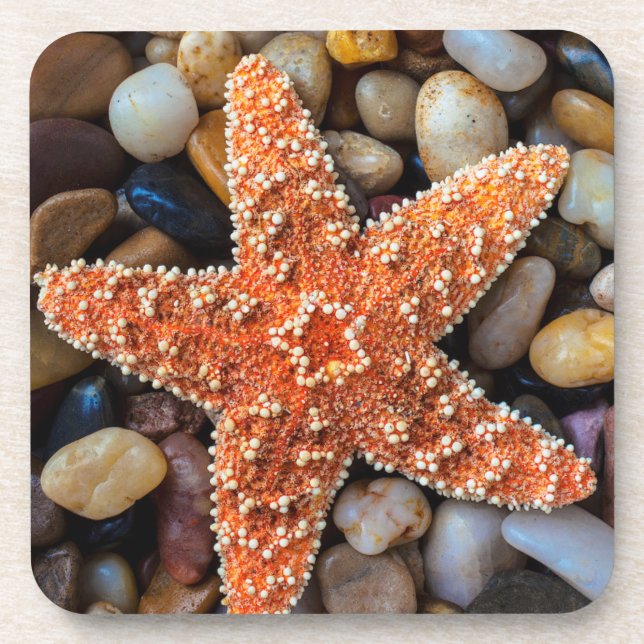 Starfish On Rocks Coaster (Front)