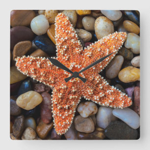 Starfish On Rocks Square Wall Clock