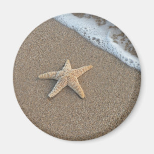 Starfish on the beach magnet
