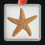 Starfish on White Metal Tree Decoration<br><div class="desc">Starfish isolated on white | Oktay Ortakcioglu | AssetID: 96621872</div>