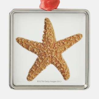Starfish on White Metal Tree Decoration