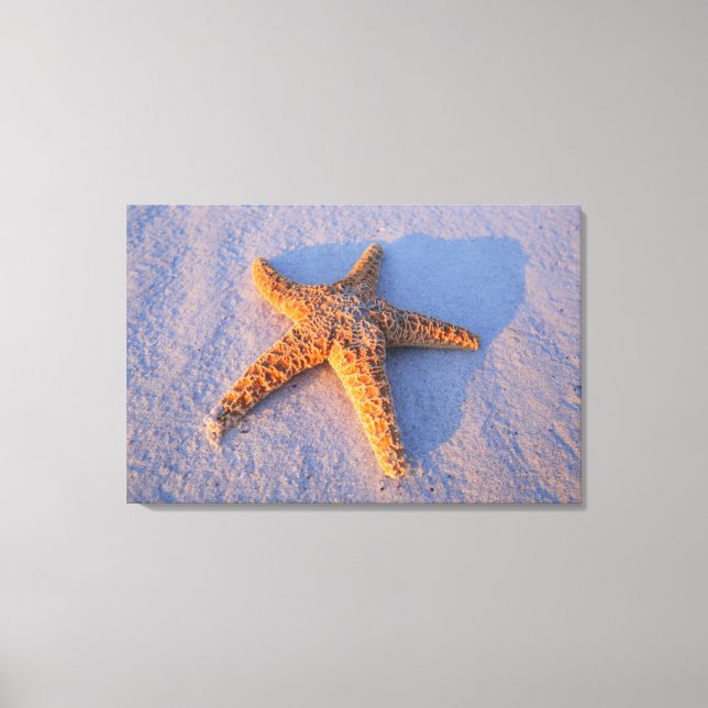Starfish On White Sand Canvas Print (Front)