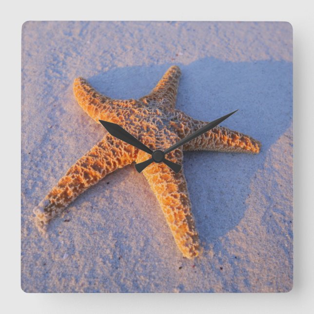 Starfish On White Sand Square Wall Clock (Front)