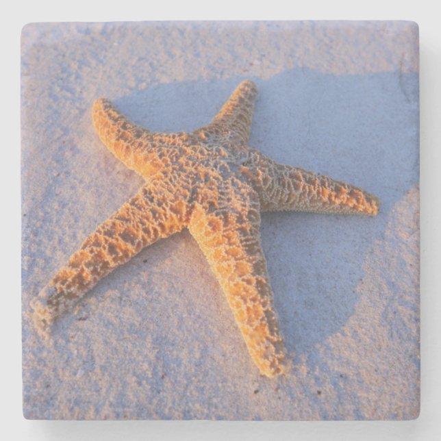 Starfish On White Sand Stone Coaster (Front)