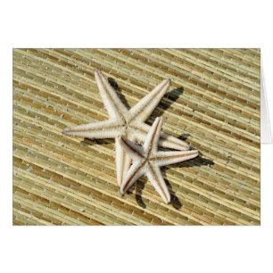 Starfish Photo