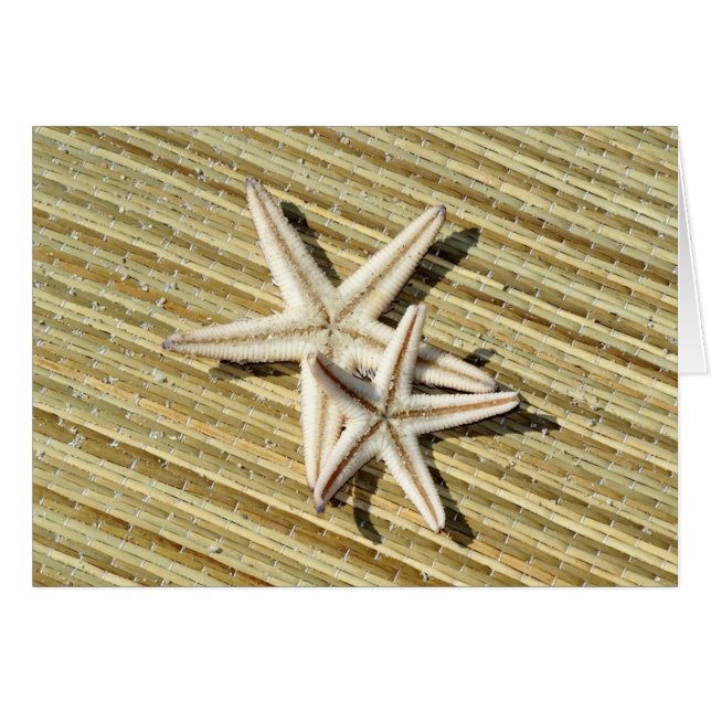 Starfish Photo (Front Horizontal)