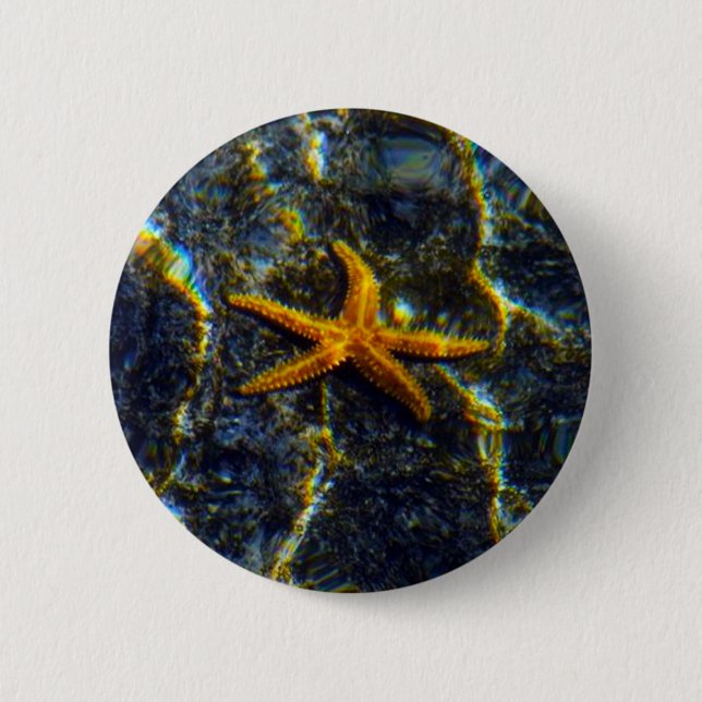 Starfish Pinback 6 Cm Round Badge (Front)