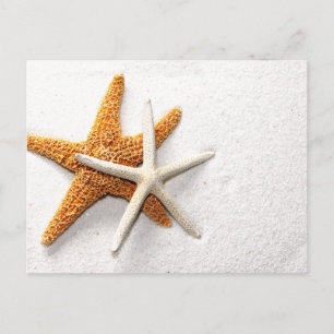 Starfish Postcard