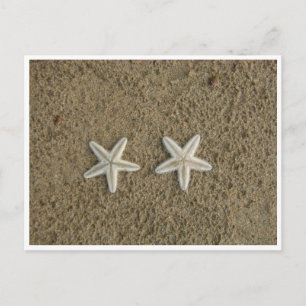 STARFISH POSTCARD