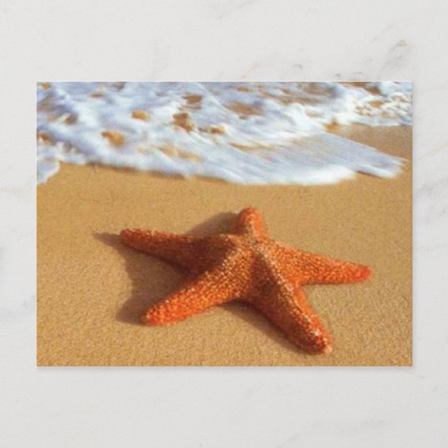 Starfish Postcard (Front)