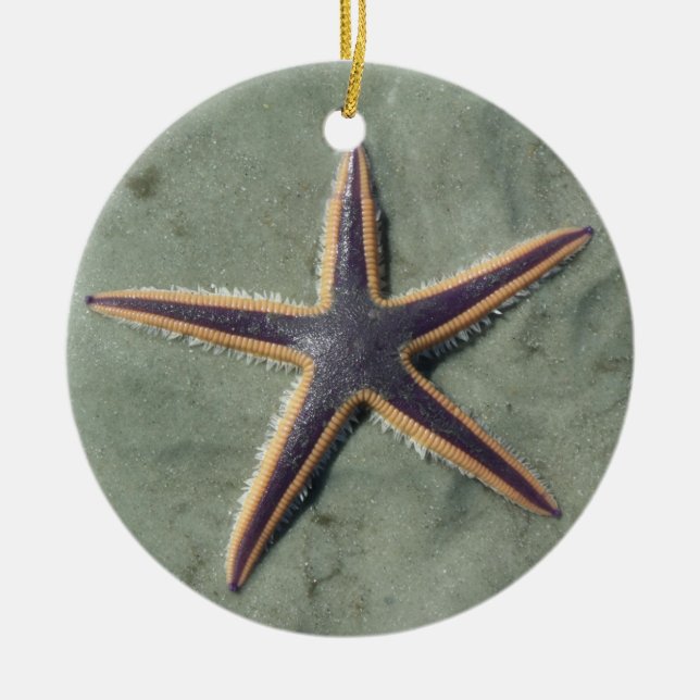 Starfish Purple sea star on beach Ceramic Tree Decoration (Front)