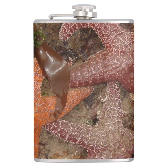 Starfish/Sea Stars in Cannon Beach, OR, Photo 4 Hip Flask (Front)