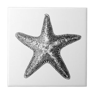 "STARFISH" SEALIFE CERAMIC TILE