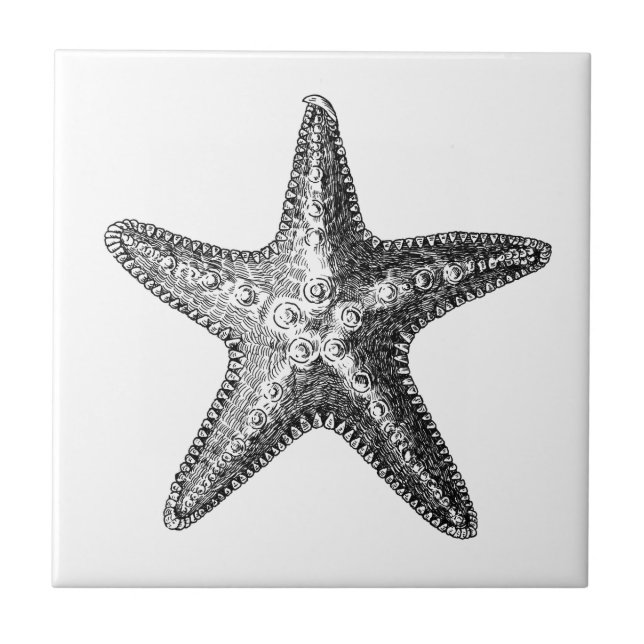 "STARFISH" SEALIFE CERAMIC TILE (Front)
