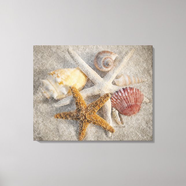 Starfish/Shell/Sand Beach Still Life Canvas Print (Front)