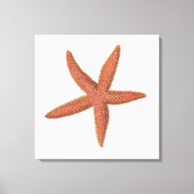 Starfish - Sherman Denton Fish Lithograph Canvas Print (Front)