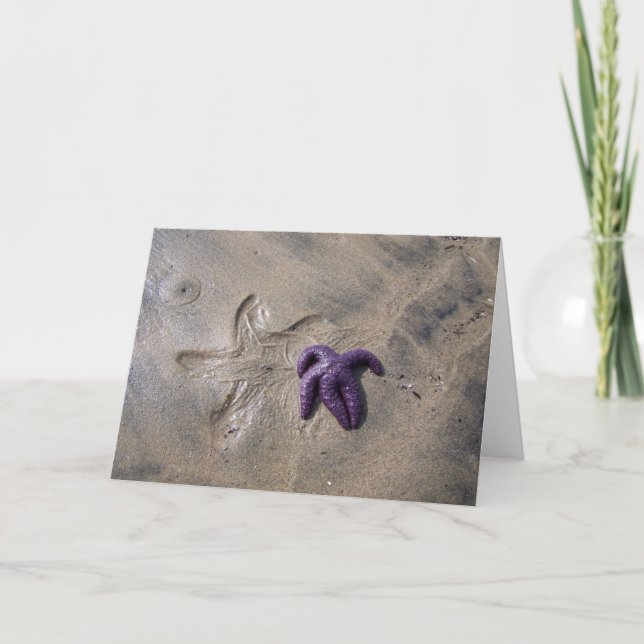 Starfish Tracks Card (Front)