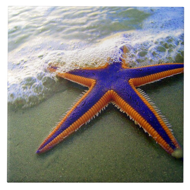 Starfish Tropical Sandy Beach Sea Wave Tile (Front)