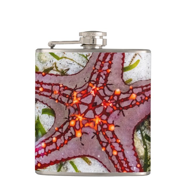 Starfish, Zanzibar, Tanzania Hip Flask (Front)