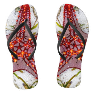 Starfish, Zanzibar, Tanzania Jandals