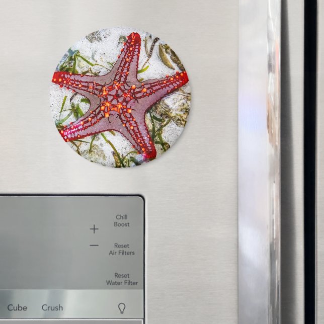 Starfish, Zanzibar, Tanzania Magnet (In Situ (Fridge))