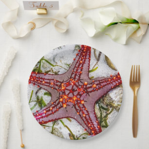 Starfish, Zanzibar, Tanzania Paper Plate