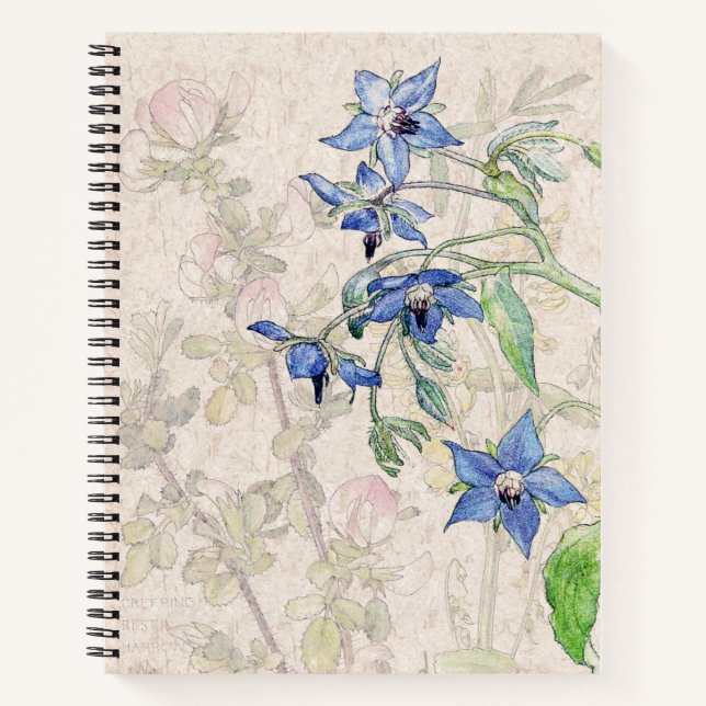 Starflower Borage Wildflower Flowers Notebook (Front)