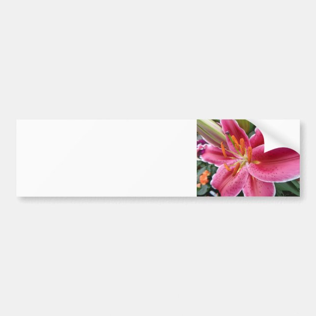 Stargazer Bumper Sticker (Front)