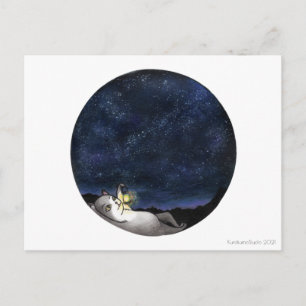 Stargazer Cat Postcard
